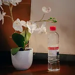 In Olimp Apartma Ljubljana