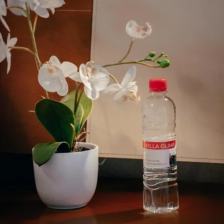 In Olimp Daire Ljubljana