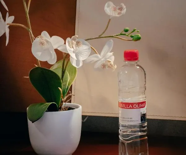 In Olimp Appartement Ljubljana